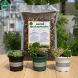 Giá thể sen đá xương rồng VIETPOT, Phối Trộn Sẵn, hỗ trợ thoát nước, giữ ẩm cực kì tốt, . 