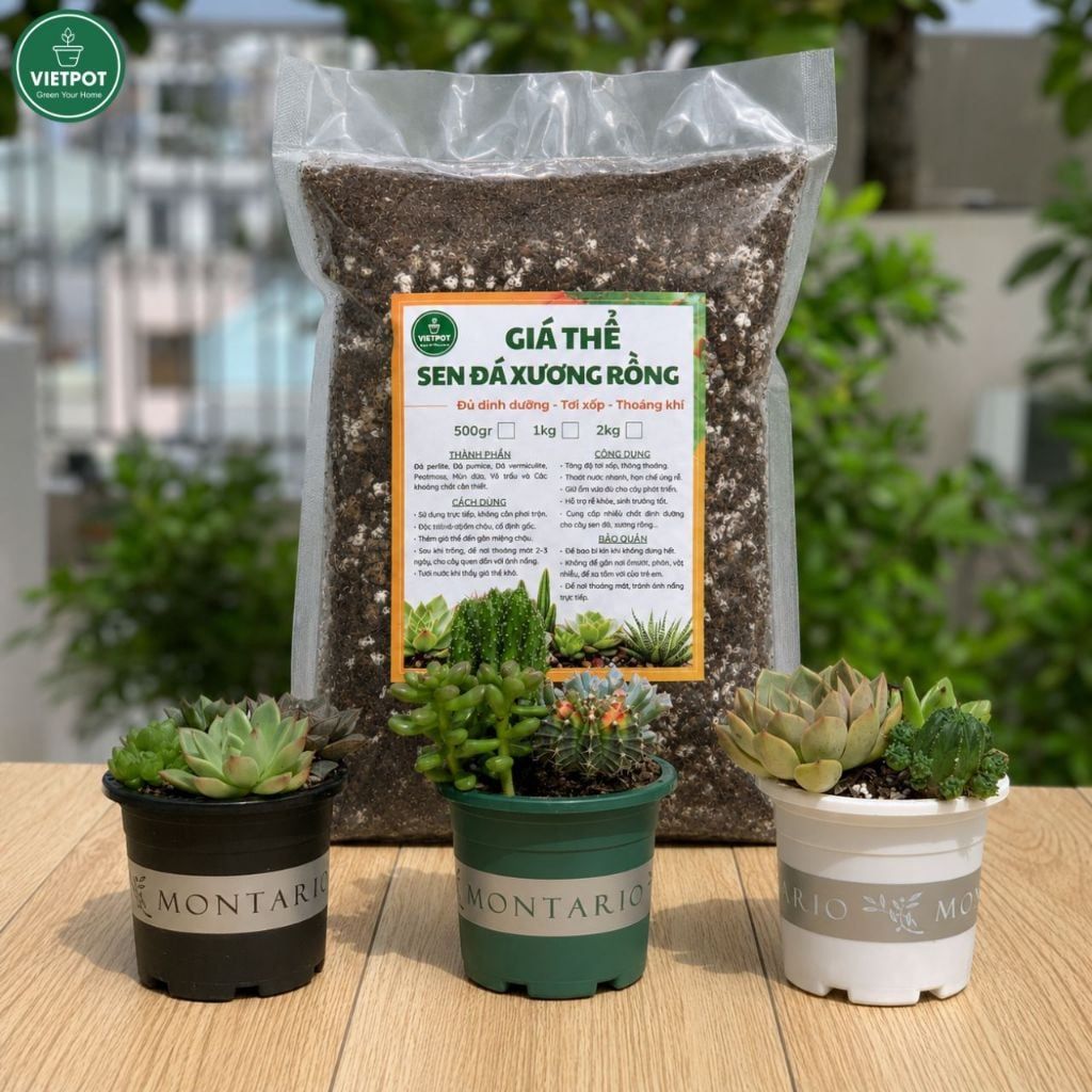  Giá thể sen đá xương rồng VIETPOT, Phối Trộn Sẵn, hỗ trợ thoát nước, giữ ẩm cực kì tốt, . 