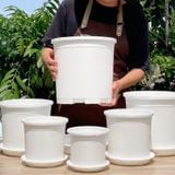  Chậu nhựa trồng cây VIETPOT, màu trắng trơn, trồng hoa kiểng, hoa hồng, để ban công, sân vườn. 