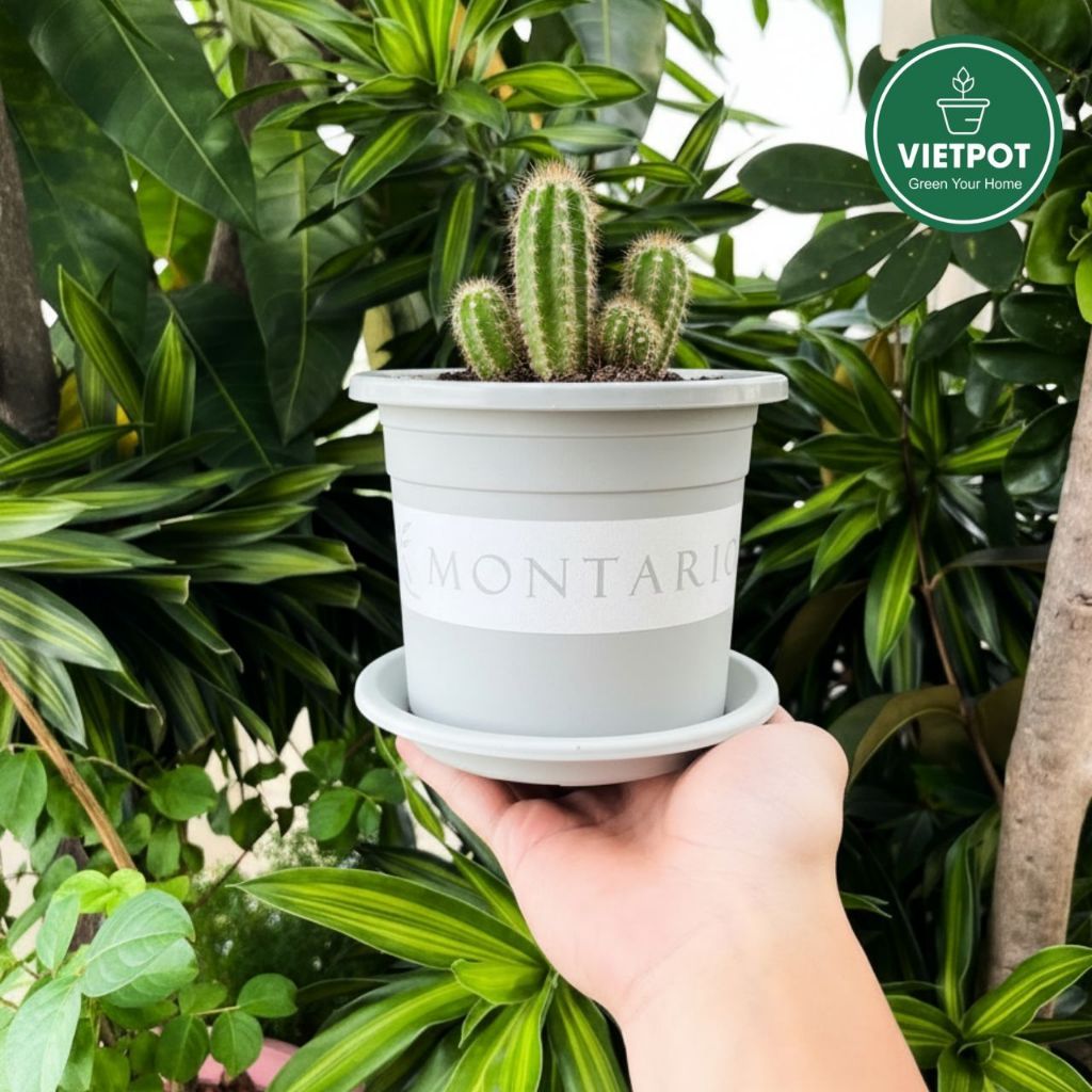  Chậu nhựa trồng cây VIETPOT, màu xám Montario, trồng hoa kiểng, trang trí ban công, sân vườn. 