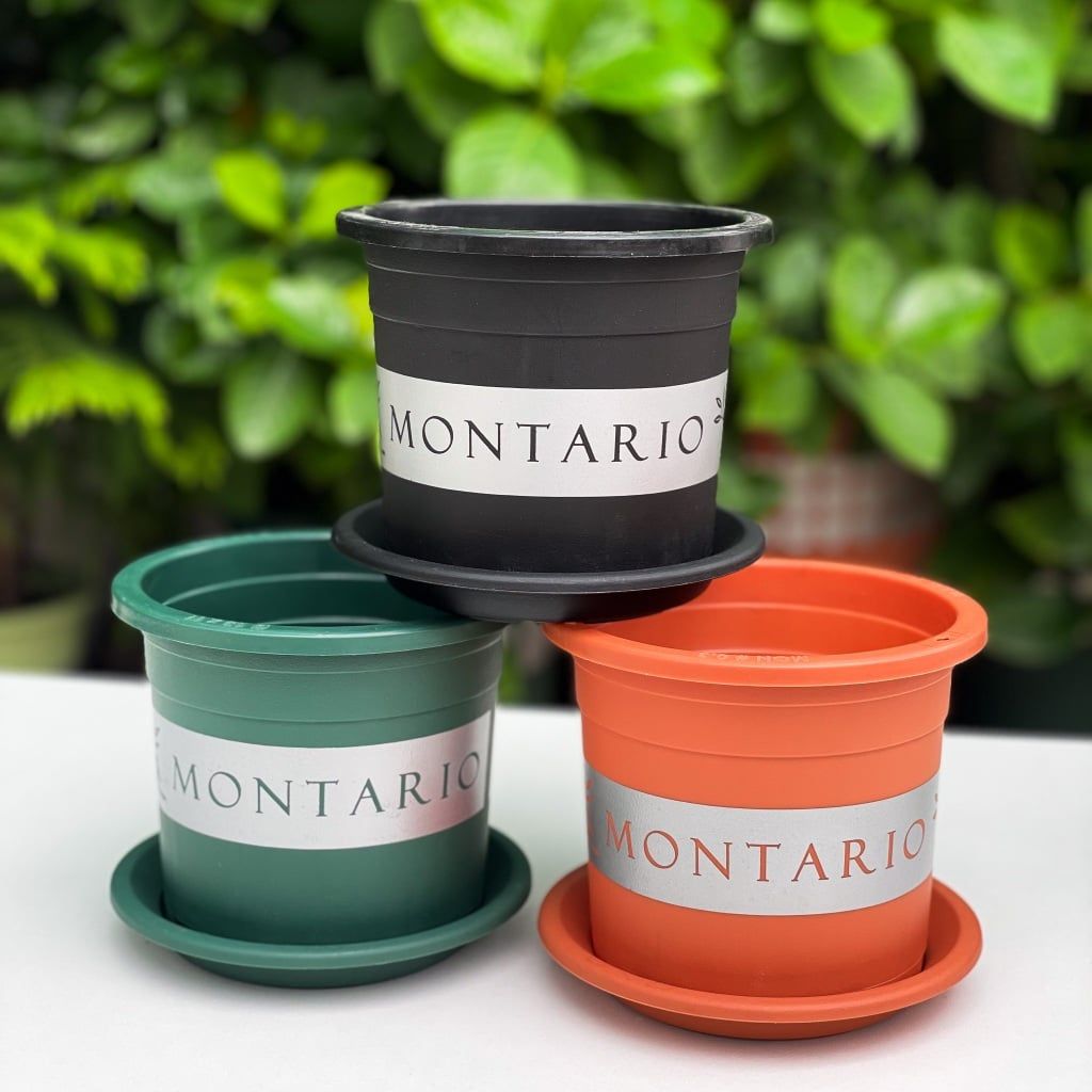  Chậu nhựa trồng cây VIETPOT, size nhỏ 13x11cm, MONTARIO, trồng kiểng lá hoa, để bàn, sân vườn 