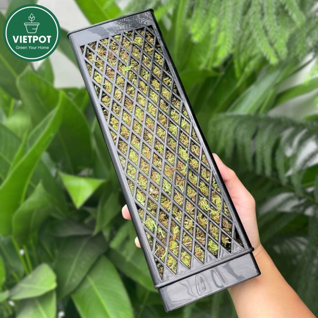  Trụ rêu bán nguyệt cao cấp VIETPOT, Size 30x10cm, hỗ trợ rễ phát triển, cây kiểng lá, kiểng lá leo. 