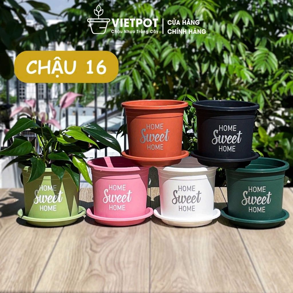  Chậu nhựa trồng cây VIETPOT, size 16x14cm, Sweet Home, hoa hồng, kiểng lá, để bàn, sân vườn. 
