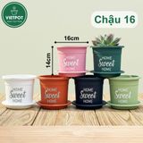  Chậu nhựa trồng cây VIETPOT, size 16x14cm, Sweet Home, hoa hồng, kiểng lá, để bàn, sân vườn. 