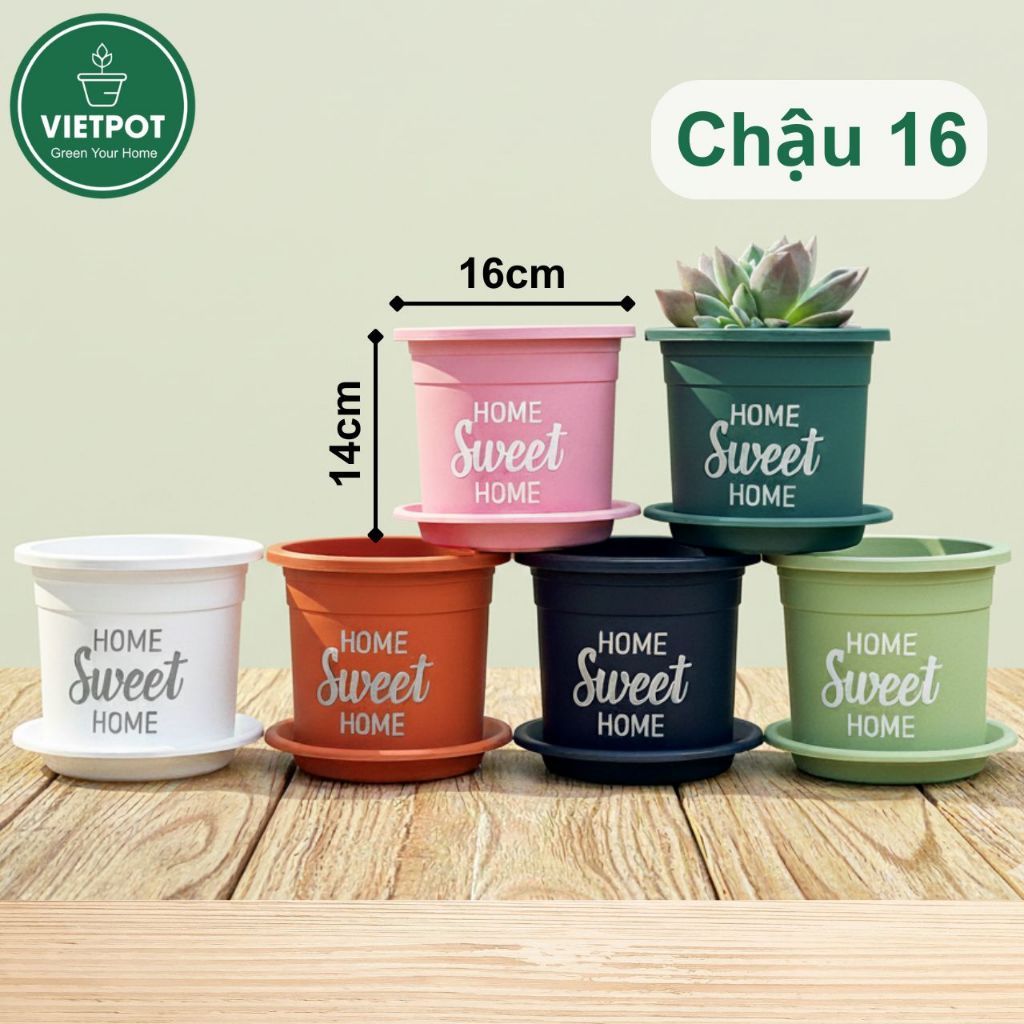  Chậu nhựa trồng cây VIETPOT, size 16x14cm, Sweet Home, hoa hồng, kiểng lá, để bàn, sân vườn. 