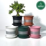  Chậu nhựa trồng cây VIETPOT, size nhỏ 13x11cm, hoa văn Tim, trồng hoa kiểng, để bàn, sân vườn 