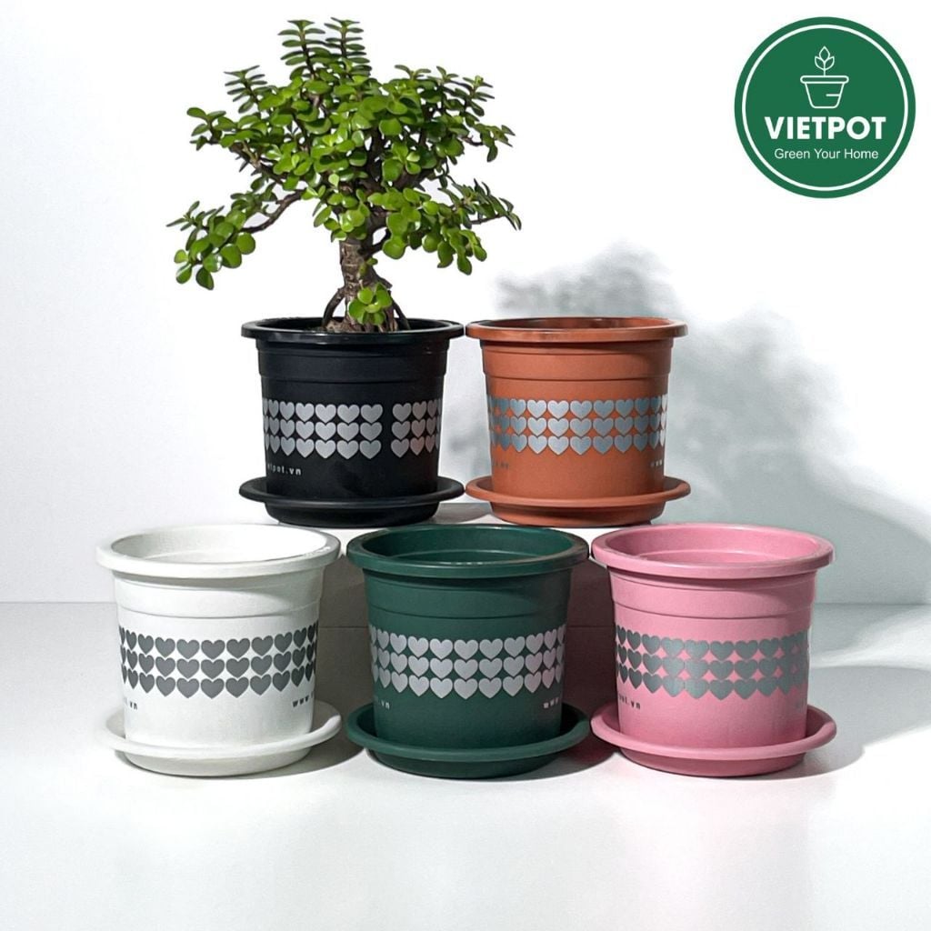  Chậu nhựa trồng cây VIETPOT, size nhỏ 13x11cm, hoa văn Tim, trồng hoa kiểng, để bàn, sân vườn 
