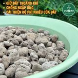  Đá Pumice VIETPOT, bao 800gr, size 1-2cm, giá thể trồng cây cung cấp khoáng chất cho hoa, xương rồng 