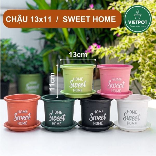  Chậu nhựa trồng cây VIETPOT, size nhỏ 13x11cm, Sweet Home, trồng hoa kiểng, để sân vườn, bàn. 