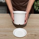  Chậu nhựa trồng cây VIETPOT, màu trắng trơn, trồng hoa kiểng, hoa hồng, để ban công, sân vườn. 