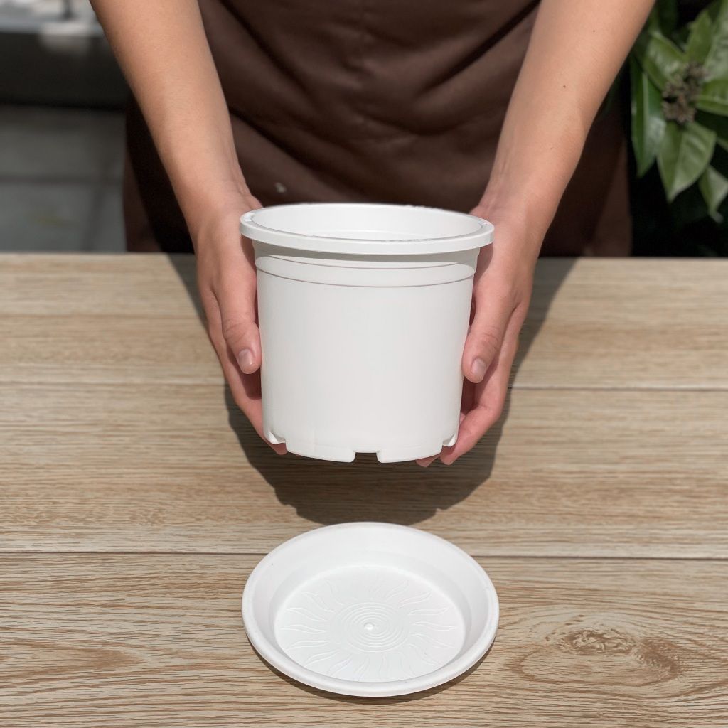  Chậu nhựa trồng cây VIETPOT, màu trắng trơn, trồng hoa kiểng, hoa hồng, để ban công, sân vườn. 