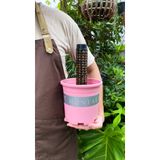  Trụ nhựa đã nhét rêu rừng VIETPOT, 29cm, vừa khớp gắn trụ chậu nhựa VIETPOT, trụ có thể gắn nối dài. 