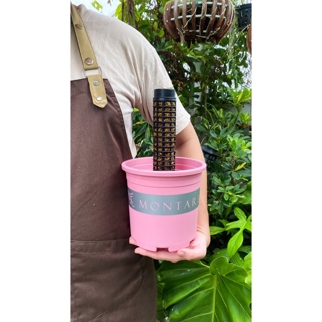  Trụ nhựa đã nhét rêu rừng VIETPOT, 29cm, vừa khớp gắn trụ chậu nhựa VIETPOT, trụ có thể gắn nối dài. 