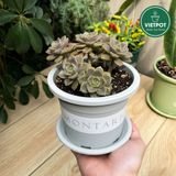  Chậu nhựa trồng cây VIETPOT, size nhỏ 13x11cm, MONTARIO, trồng kiểng lá hoa, để bàn, sân vườn 