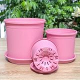  Chậu nhựa trồng cây VIETPOT, màu hồng trơn, trồng kiểng lá, hoa hồng, trang trí ban công, sân vườn. 