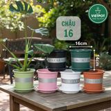  Chậu Nhựa Trồng Cây VIETPOT, size 16x14 Montario, trồng kiểng lá hoa hồng, trang trí sân vườn. 