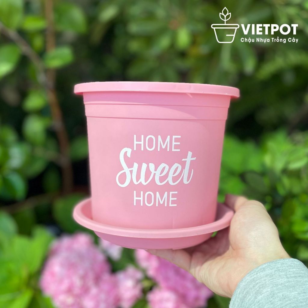  Chậu nhựa trồng cây VIETPOT, màu hồng, hoa văn Sweet Home, trồng hoa kiểng lá, để nhà, sân vườn. 