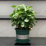  Chậu nhựa trồng cây VIETPOT, size nhỏ 13x11cm, MONTARIO, trồng kiểng lá hoa, để bàn, sân vườn 