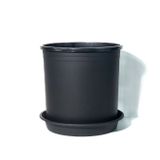  Chậu nhựa trồng cây VIETPOT, màu đen trơn, trồng hoa kiểng, trang trí ban công, sân vườn, sân thượng 