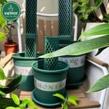  Trụ rêu bán nguyệt cao cấp VIETPOT, Size 30x10cm, hỗ trợ rễ phát triển, cây kiểng lá, kiểng lá leo. 