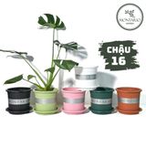  Chậu Nhựa Trồng Cây VIETPOT, size 16x14 Montario, trồng kiểng lá hoa hồng, trang trí sân vườn. 