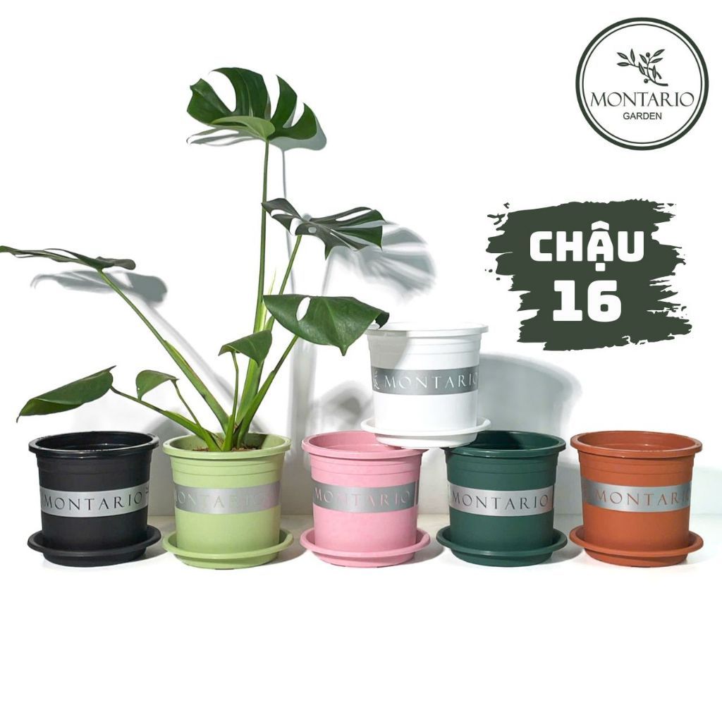  Chậu Nhựa Trồng Cây VIETPOT, size 16x14 Montario, trồng kiểng lá hoa hồng, trang trí sân vườn. 
