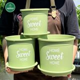  Chậu nhựa trồng cây VIETPOT, màu xanh Mint, hoa văn Sweet Home, trồng hoa kiểng lá, để nhà sân vườn. 