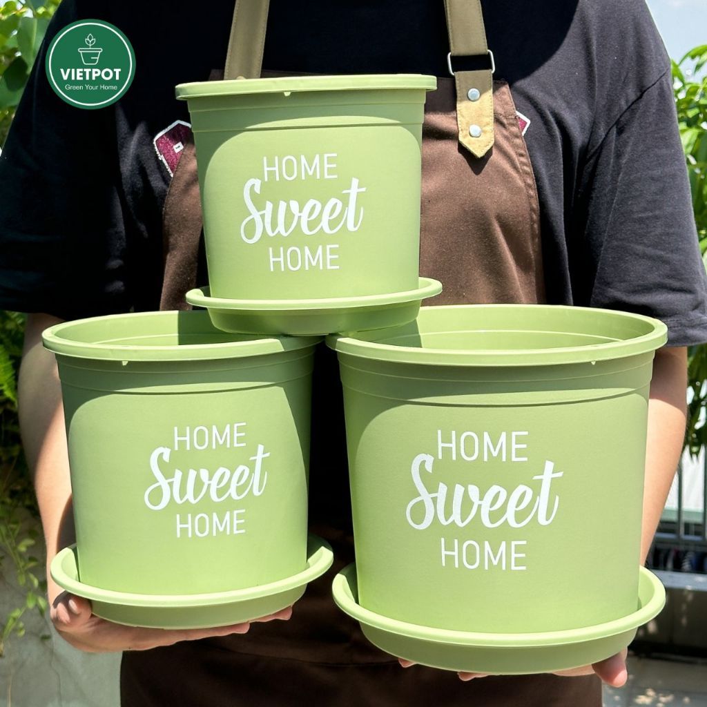  Chậu nhựa trồng cây VIETPOT, màu xanh Mint, hoa văn Sweet Home, trồng hoa kiểng lá, để nhà sân vườn. 