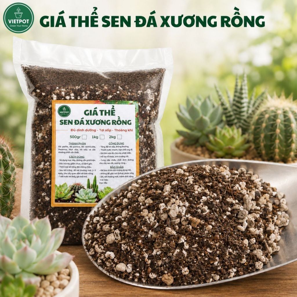  Giá thể sen đá xương rồng VIETPOT, Phối Trộn Sẵn, hỗ trợ thoát nước, giữ ẩm cực kì tốt, . 