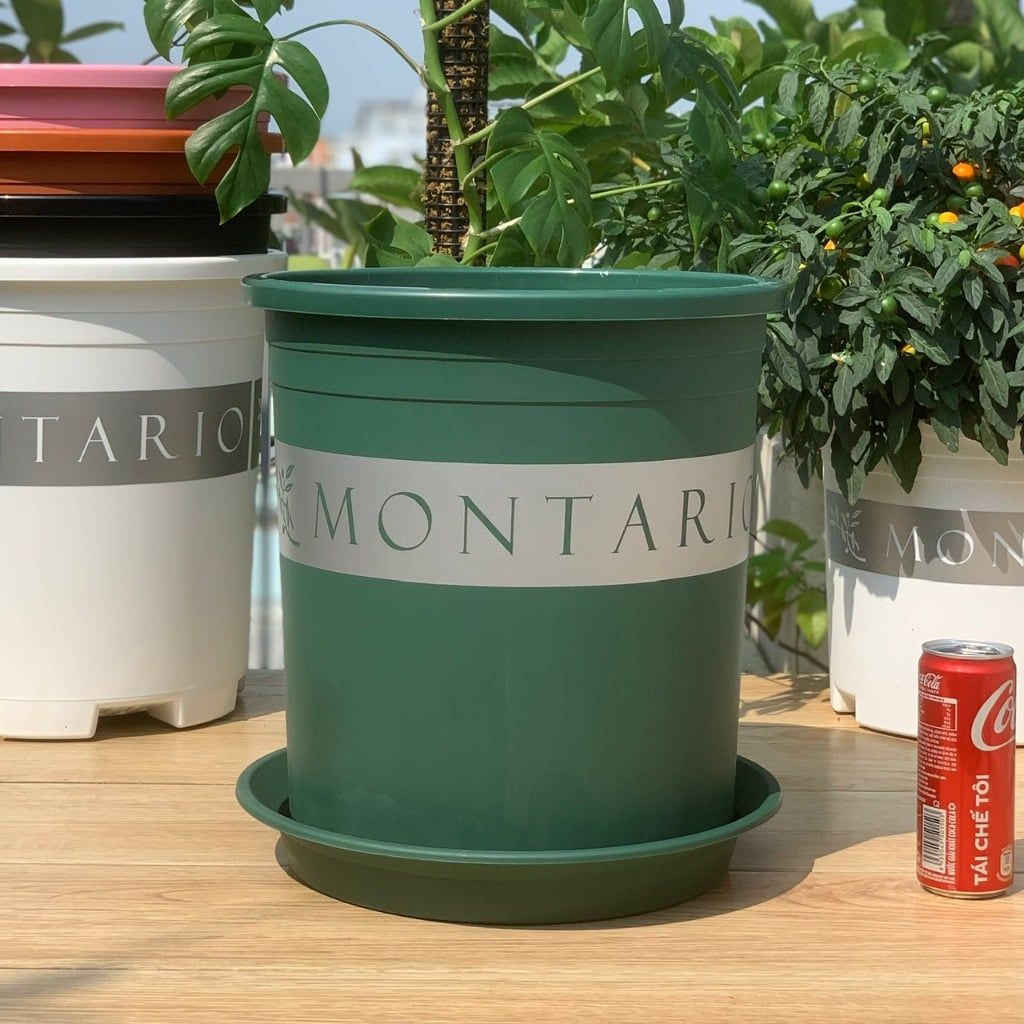  Chậu Nhựa Trồng Cây VIETPOT, size lớn 34x36cm MONTARIO, 6,6gallon, trang trí bàn, sân vườn, ban công 