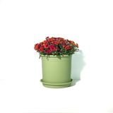  Chậu nhựa trồng cây VIETPOT, xanh Mint Trơn, trồng kiểng lá hoa hồng, để bàn, ban công sân vườn. 