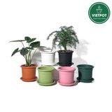  Chậu nhựa trồng cây VIETPOT, size 13x11, trơn, chính hãng, kiếng lá hoa, sen đá, bàn làm việc 