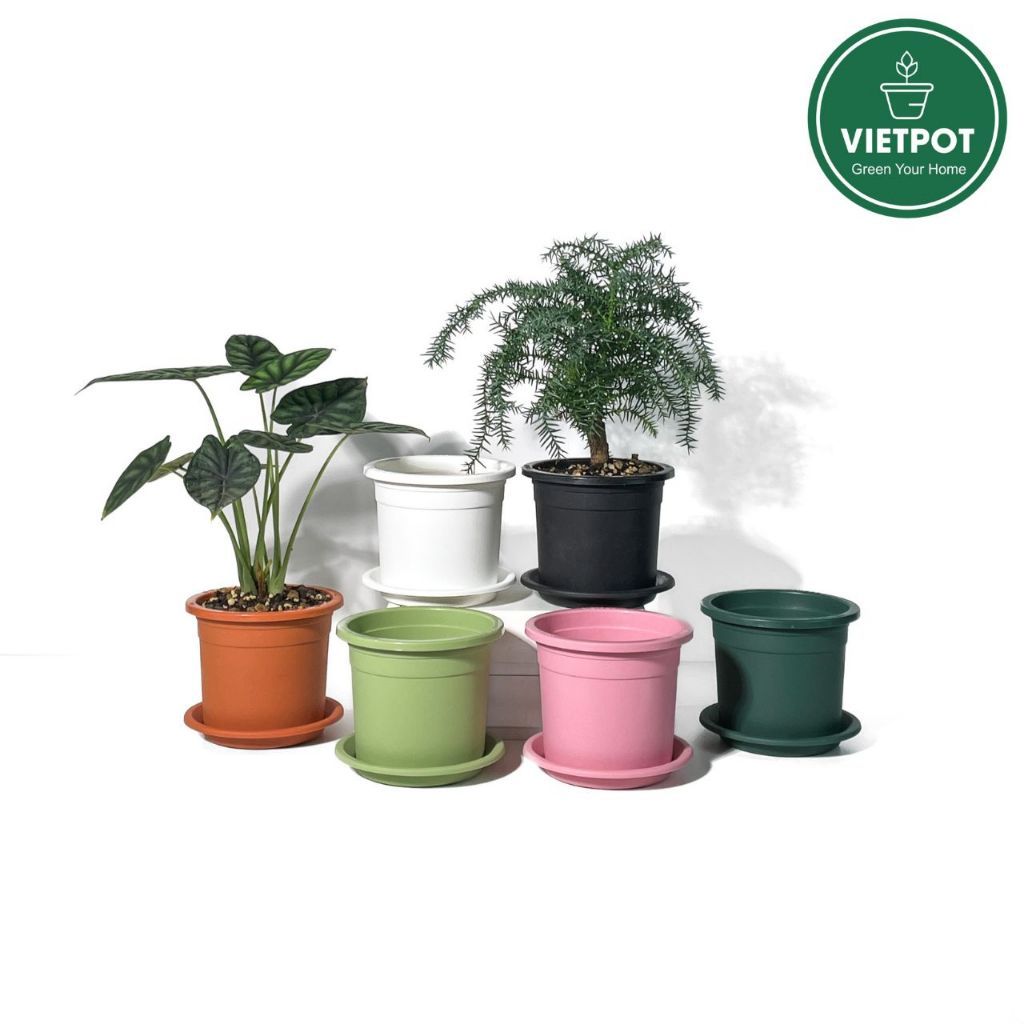  Chậu nhựa trồng cây VIETPOT, size 13x11, trơn, chính hãng, kiếng lá hoa, sen đá, bàn làm việc 