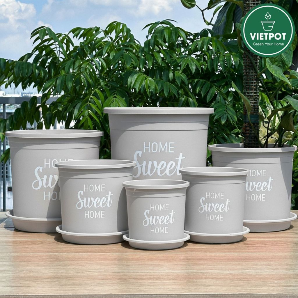  Chậu nhựa trồng cây VIETPOT, màu xám, hoa văn Sweet Home, trồng hoa kiểng lá, để nhà, sân vườn. 