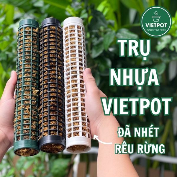  Trụ nhựa đã nhét rêu rừng VIETPOT, 29cm, vừa khớp gắn trụ chậu nhựa VIETPOT, trụ có thể gắn nối dài. 