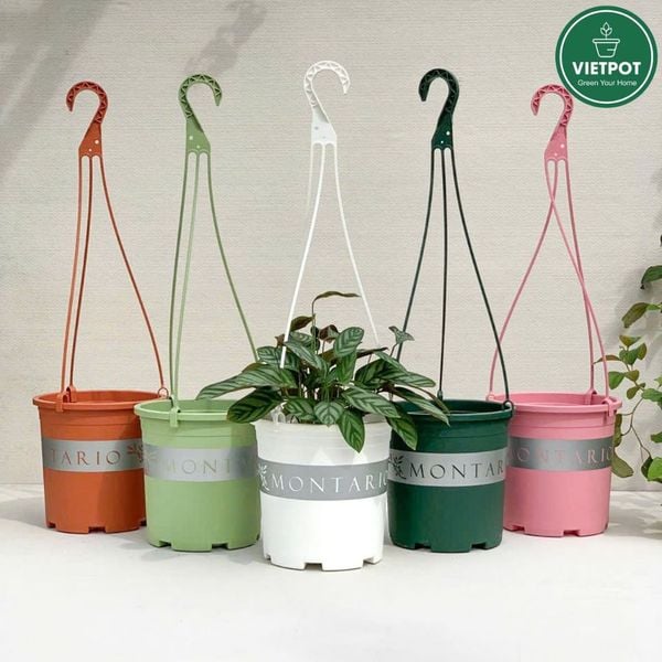 Bộ Chậu Treo VIETPOT, chậu và móc treo,hoa văn MONTARIO, tháo lắp dễ dàng, trang trí bàn, sân thượng 