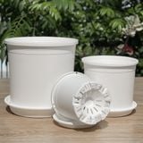  Chậu nhựa trồng cây VIETPOT, màu trắng trơn, trồng hoa kiểng, hoa hồng, để ban công, sân vườn. 
