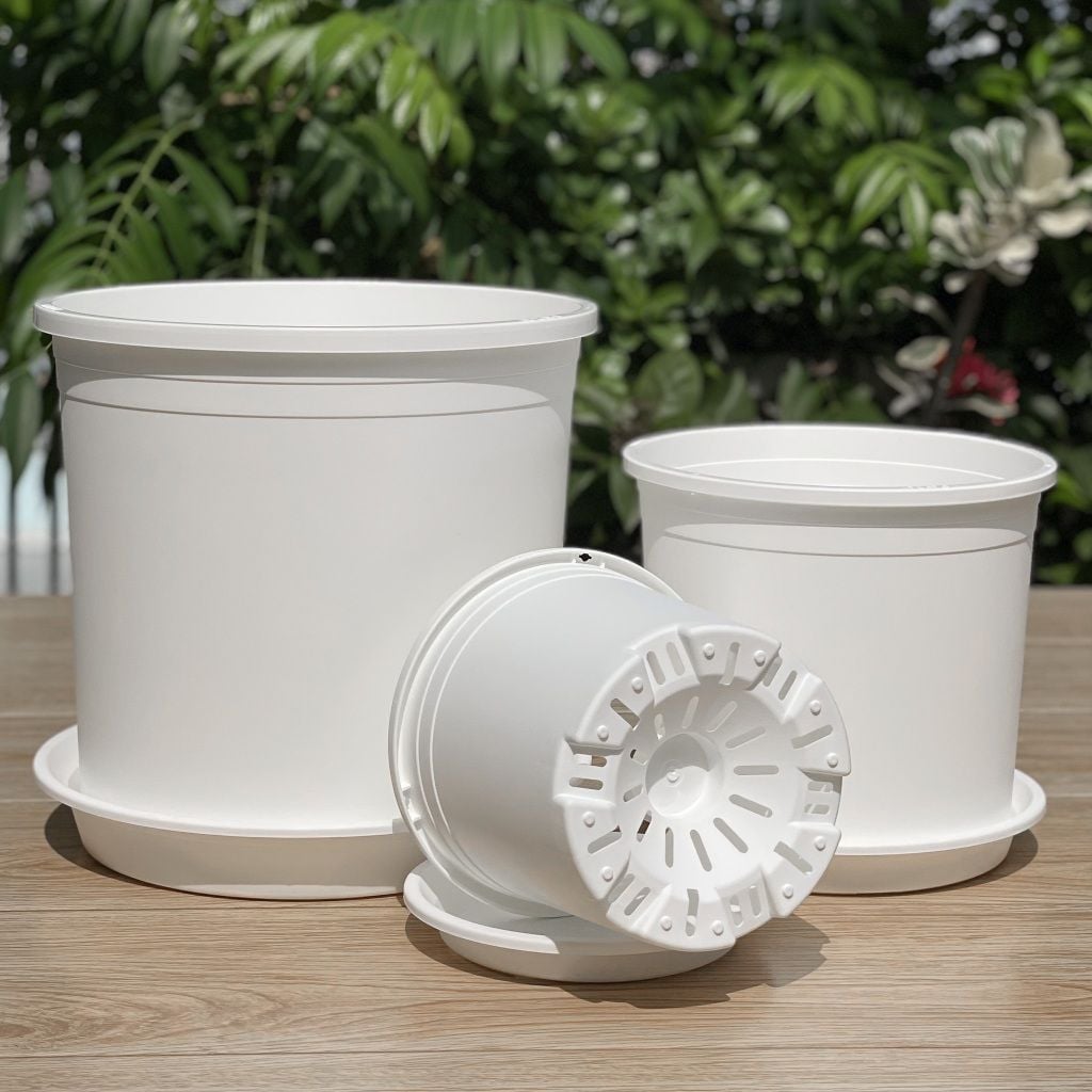  Chậu nhựa trồng cây VIETPOT, màu trắng trơn, trồng hoa kiểng, hoa hồng, để ban công, sân vườn. 