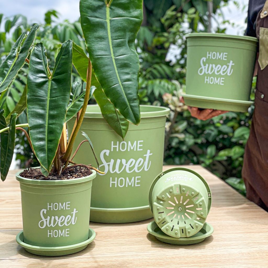  Chậu nhựa trồng cây VIETPOT, màu xanh Mint, hoa văn Sweet Home, trồng hoa kiểng lá, để nhà sân vườn. 