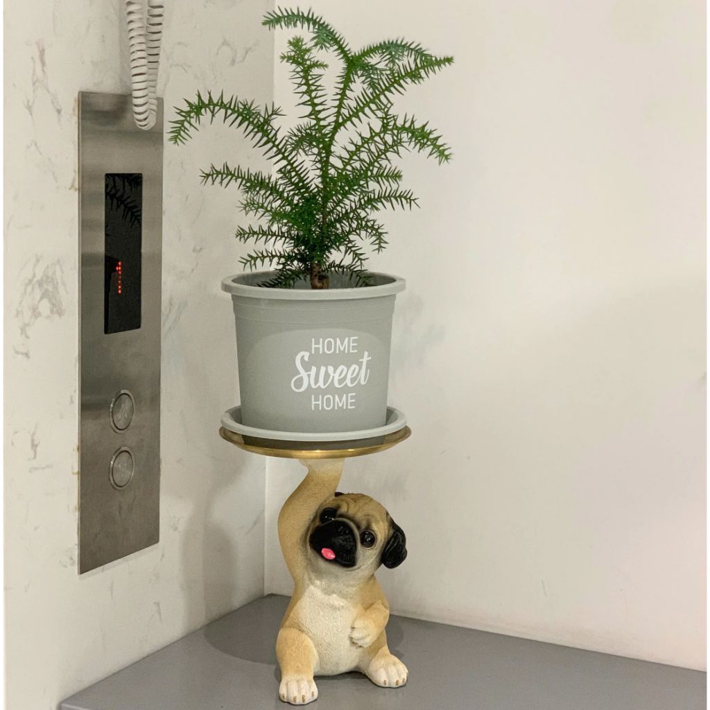  Chậu nhựa trồng cây VIETPOT, màu xám, hoa văn Sweet Home, trồng hoa kiểng lá, để nhà, sân vườn. 