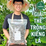  Giá thể trồng kiểng lá VIETPOT, trộn sẵn, chuyên dùng cho cây trong nhà, ngoài trời, Monstera... 