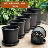  Chậu nhựa trồng cây VIETPOT, màu đen trơn, trồng hoa kiểng, trang trí ban công, sân vườn, sân thượng 