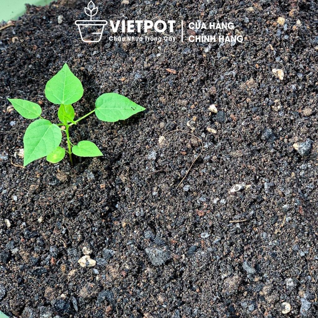  Đất sạch đa dụng VIETPOT, thích hợp trồng rau hoa, củ, quả, cây kiểng, giàu dinh dưỡng, giữ ẩm tốt. 