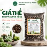  Giá thể sen đá xương rồng VIETPOT, Phối Trộn Sẵn, hỗ trợ thoát nước, giữ ẩm cực kì tốt, . 