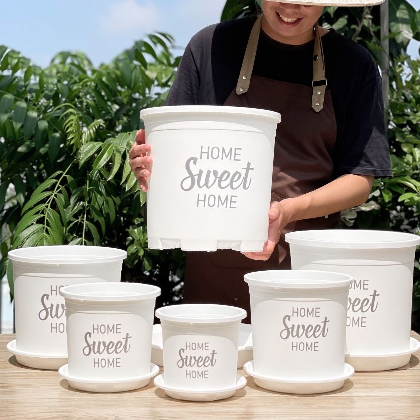  Chậu nhựa trồng cây VIETPOT, màu trắng, hoa văn Sweet Home, trồng hoa kiểng lá, để nhà, sân vườn. 