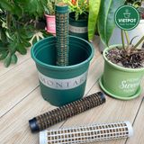  Trụ nhựa đã nhét rêu rừng VIETPOT, 29cm, vừa khớp gắn trụ chậu nhựa VIETPOT, trụ có thể gắn nối dài. 