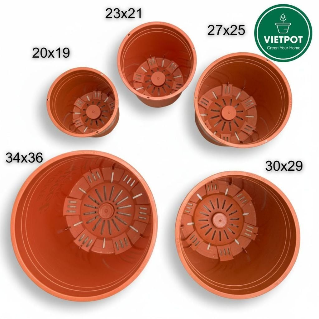  Chậu nhựa trồng cây VIETPOT, màu cam, hoa văn Sweet Home, trồng hoa kiểng lá, để nhà, sân vườn. 