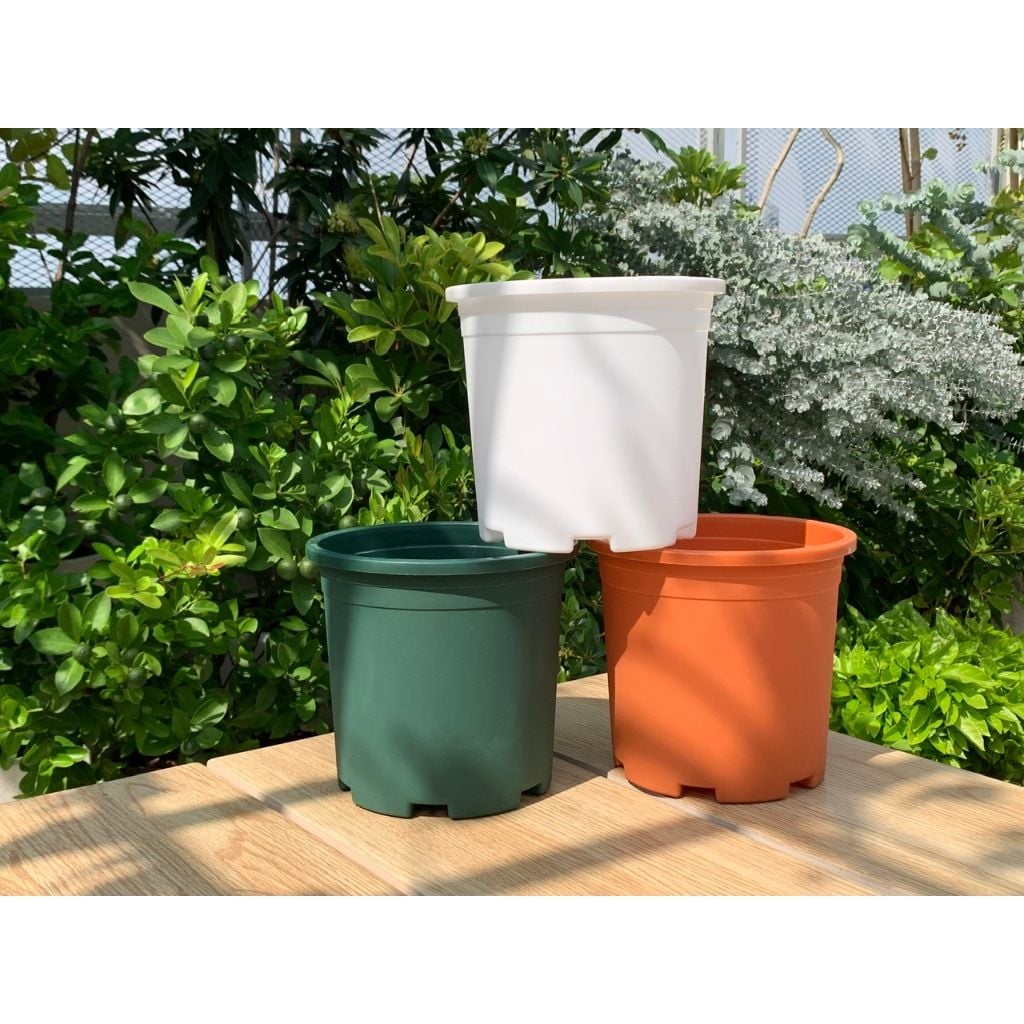  Chậu nhựa trồng cây VIETPOT, màu trắng trơn, trồng hoa kiểng, hoa hồng, để ban công, sân vườn. 