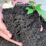  Đất sạch đa dụng VIETPOT, thích hợp trồng rau hoa, củ, quả, cây kiểng, giàu dinh dưỡng, giữ ẩm tốt. 