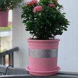  Đĩa nhựa mỏng nhẹ lót chậu cây VIETPOT, màu hồng, cây cảnh, trang trí nhà vườn, ban công 